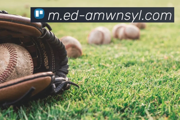 威尼斯人娱乐网站APP 高清赛事图